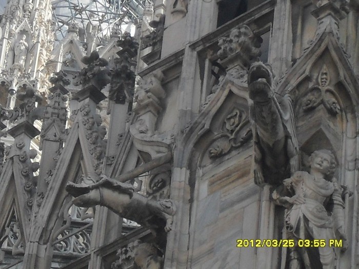 SDC17566