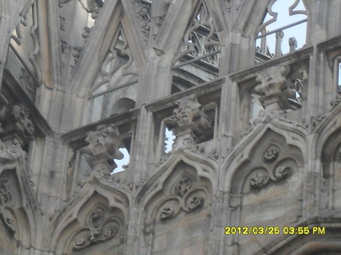 SDC17567