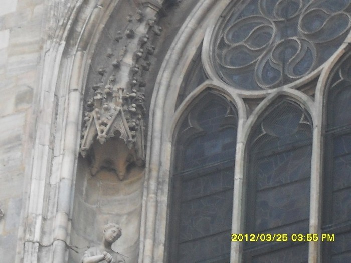 SDC17568
