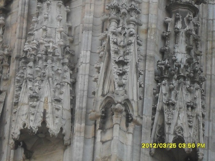 SDC17569