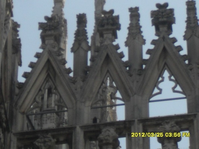 SDC17572
