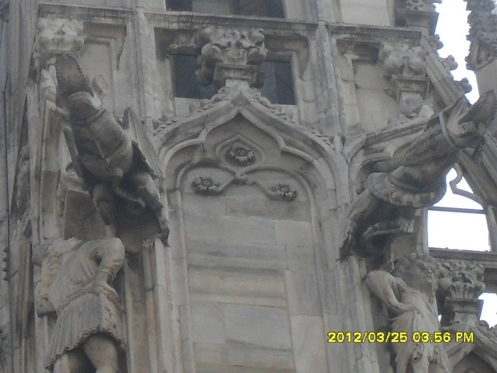 SDC17574