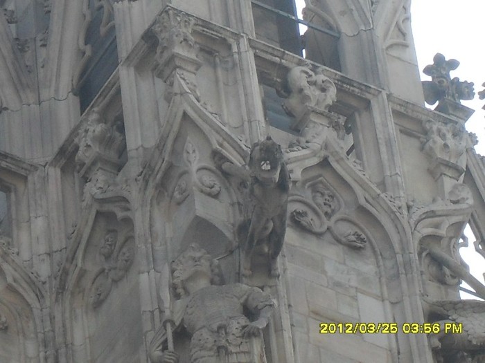 SDC17575