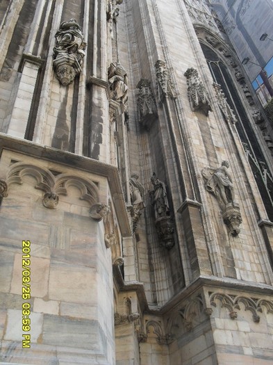 SDC17579