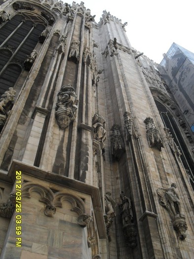 SDC17581