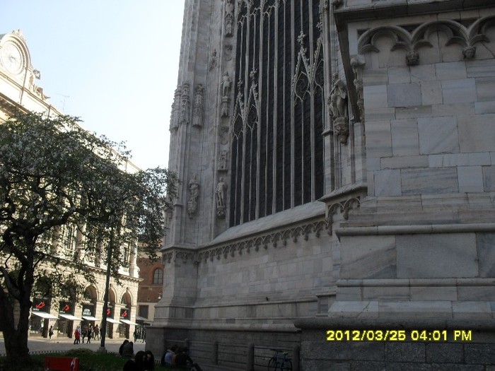 SDC17597