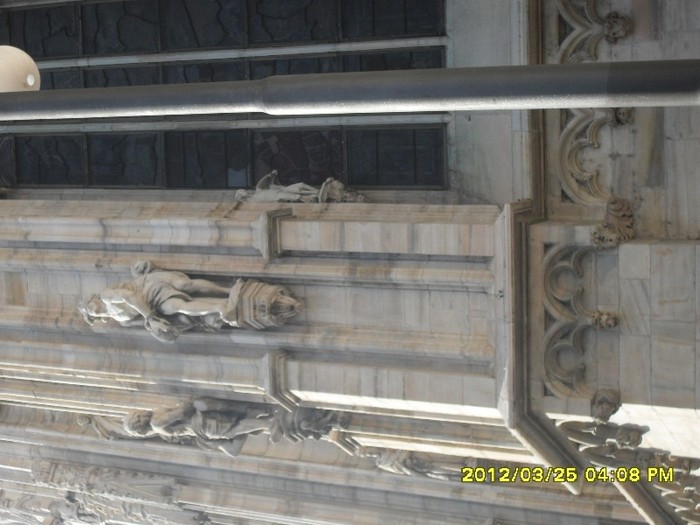 SDC17636