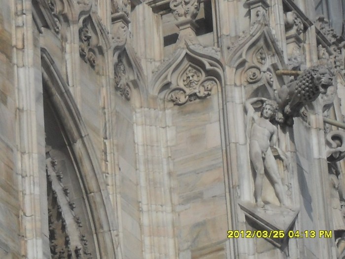 SDC17675