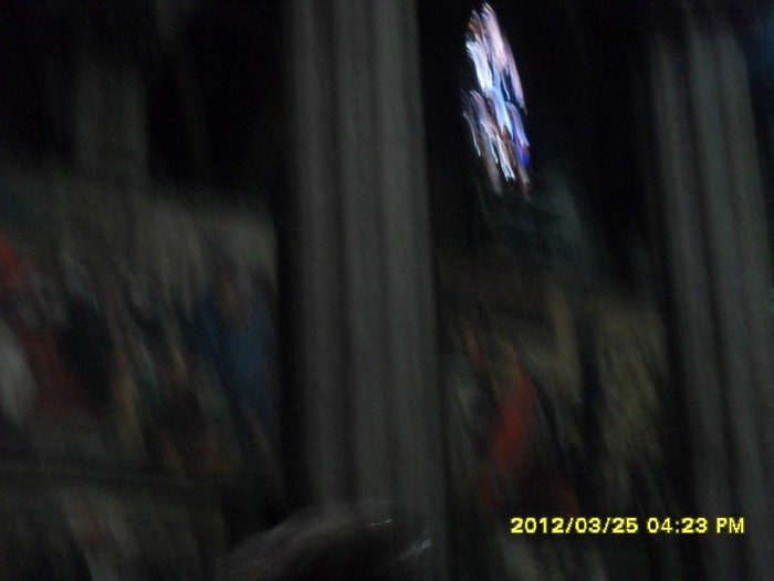 SDC17716