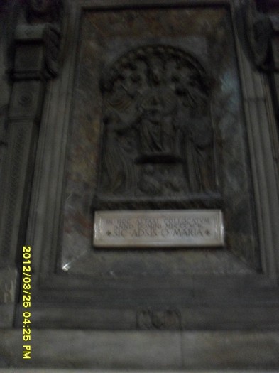 SDC17729