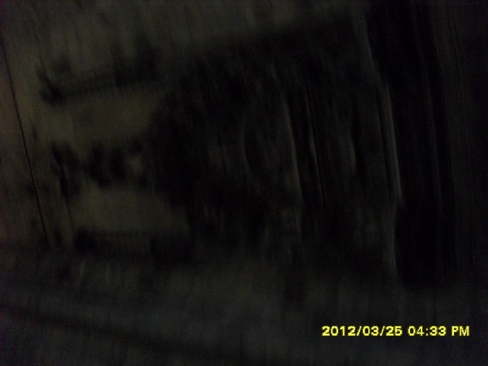 SDC17776