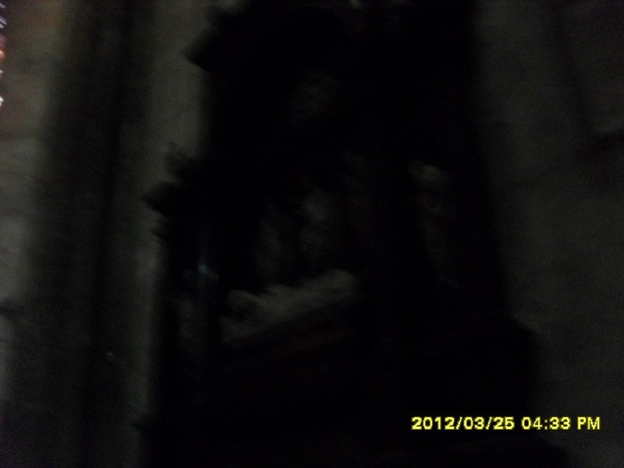 SDC17777