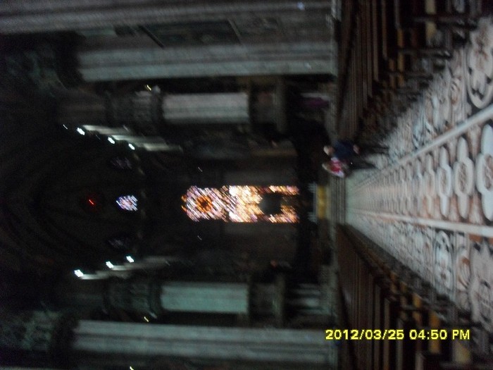 SDC17843