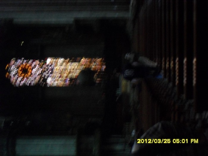 SDC17858