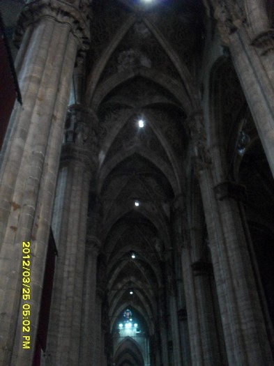SDC17859