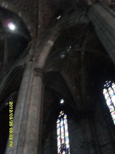 SDC17860