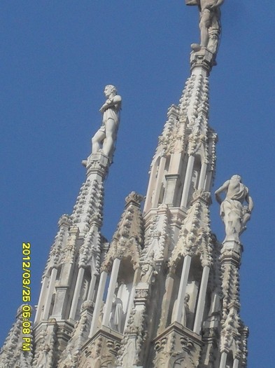 SDC17883