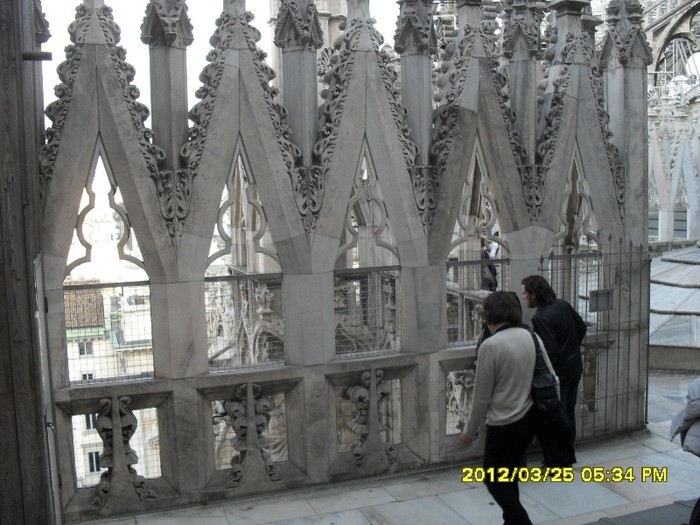 SDC17893