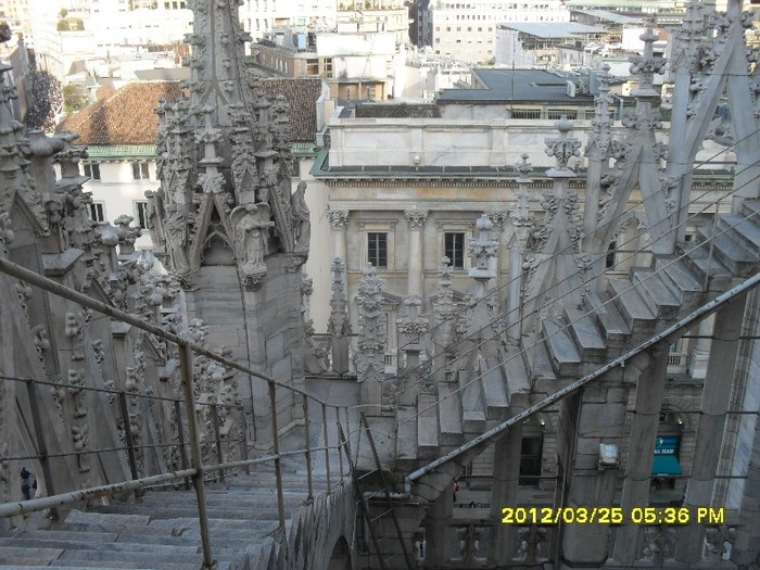 SDC17896
