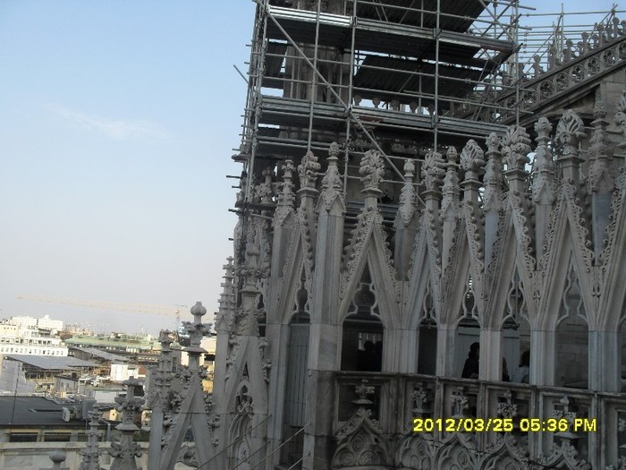 SDC17897