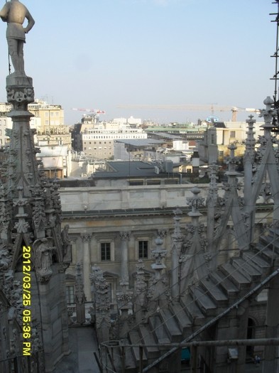 SDC17900
