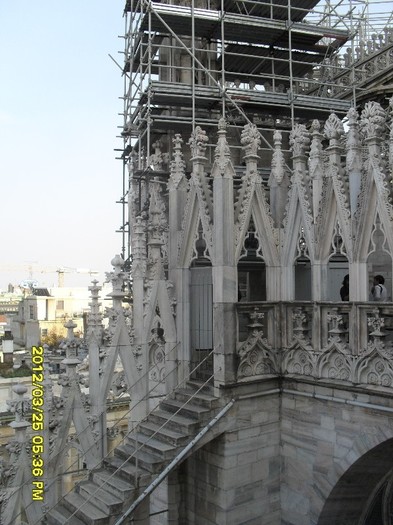 SDC17901