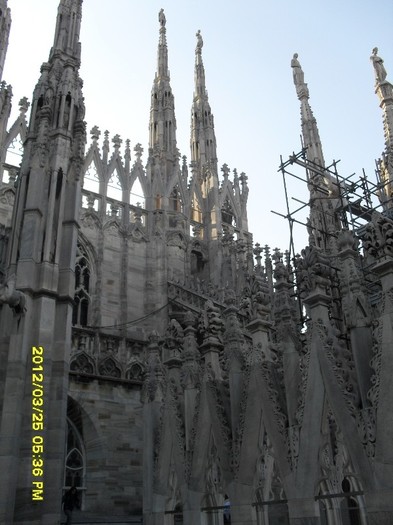 SDC17903