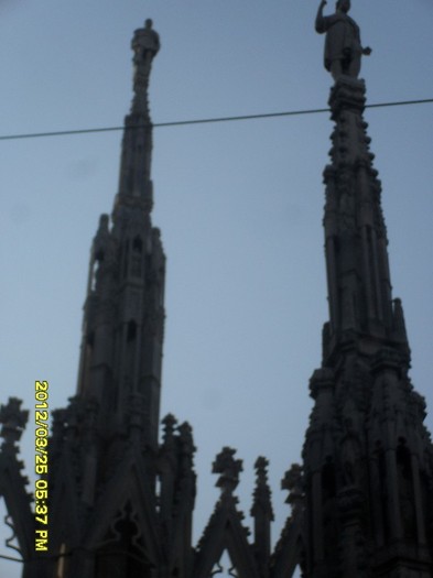 SDC17906