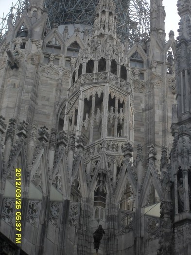 SDC17907
