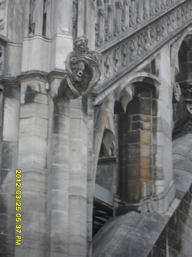 SDC17908