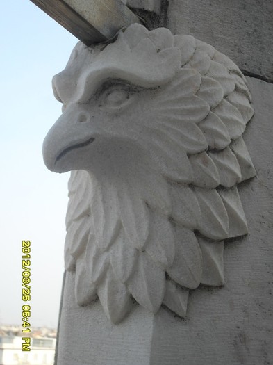 SDC17930