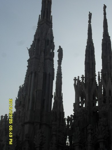 SDC17942