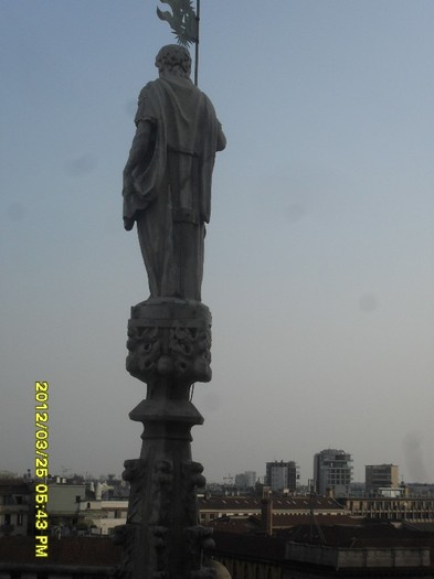 SDC17943