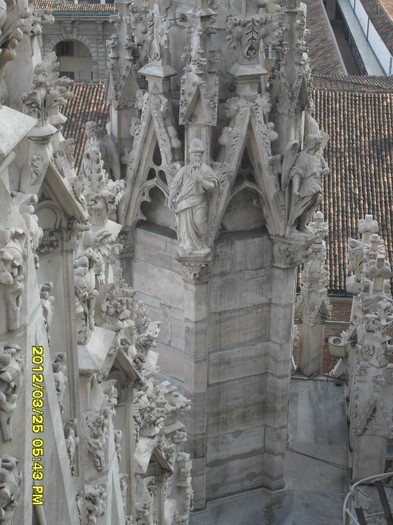 SDC17944