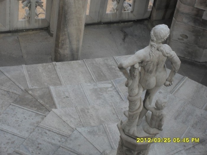 SDC17955