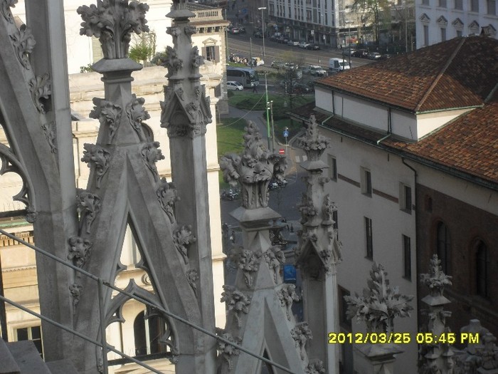 SDC17956