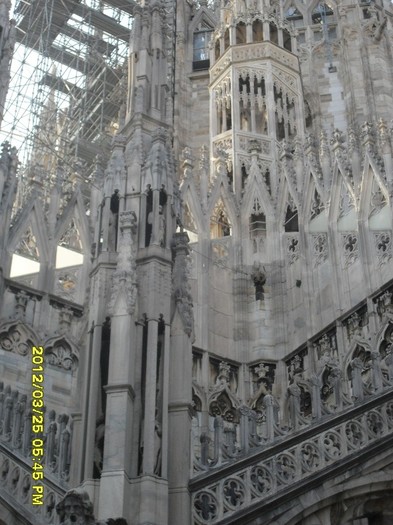 SDC17958