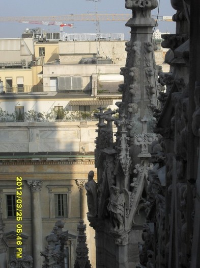 SDC17959
