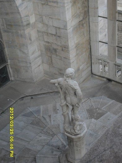 SDC17961