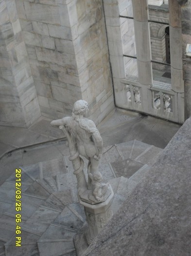 SDC17962
