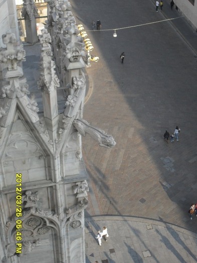 SDC17963