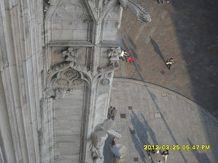 SDC17966
