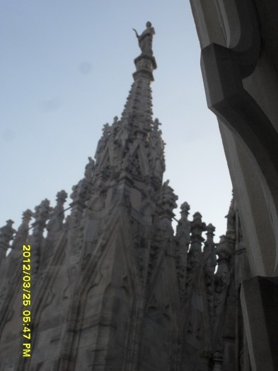 SDC17969