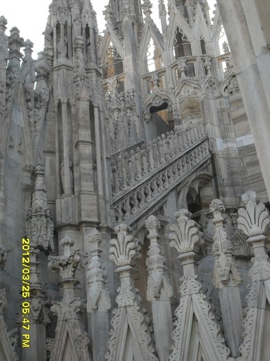SDC17970