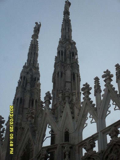 SDC17975