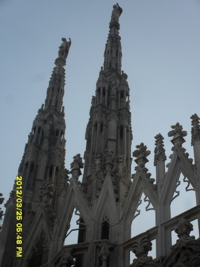 SDC17976
