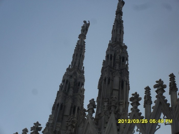 SDC17977