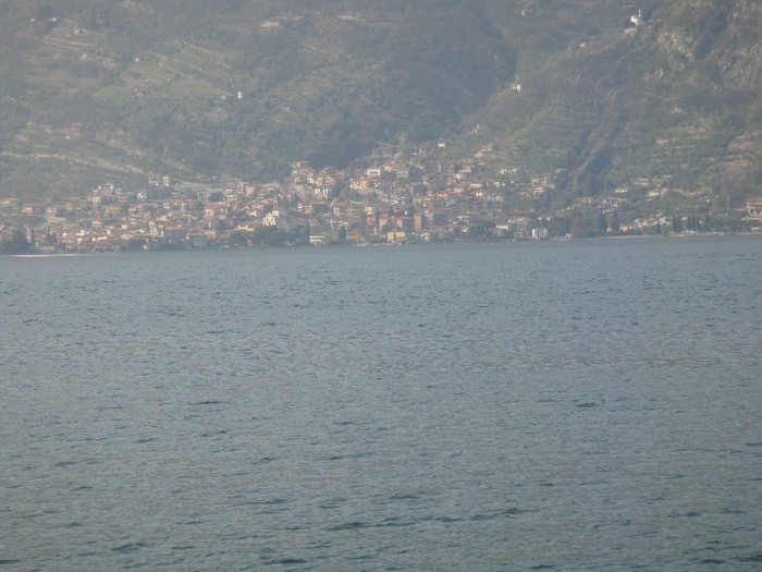 DSC07565