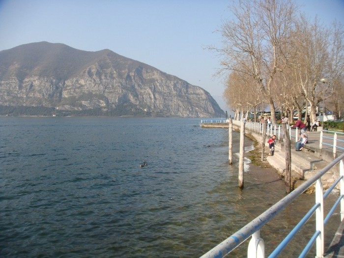 DSC07571