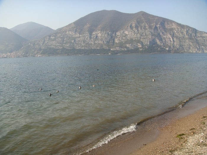 DSC07581
